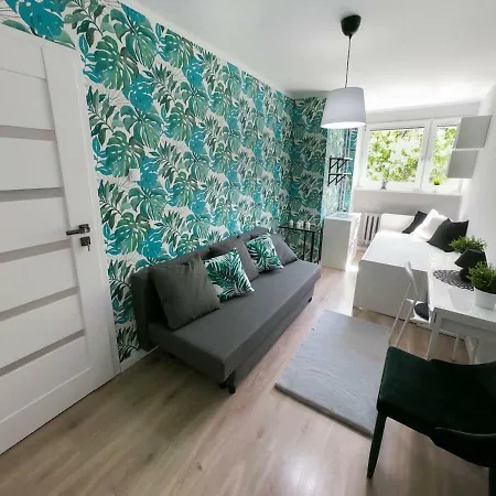 Apartamento New - 300 M Town Hall - 3 - 7 People Breslavia