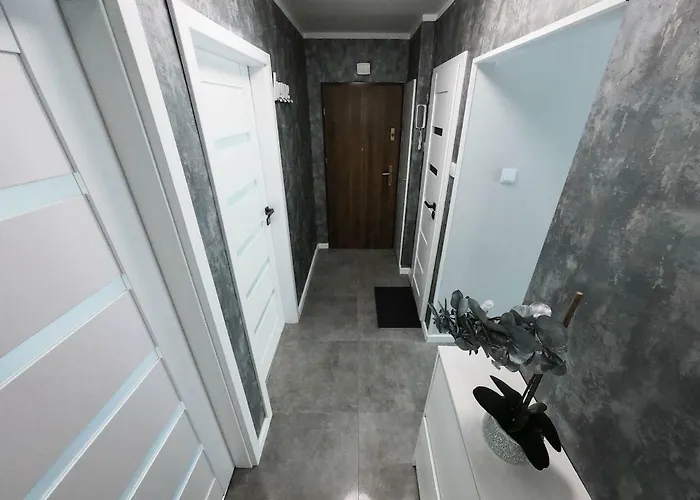 New - 300 M Town Hall - 3 - 7 People Wroclaw